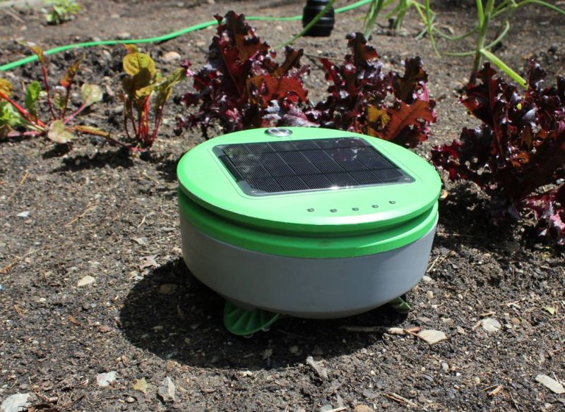 Tertill Solar powered Weeding Robot
