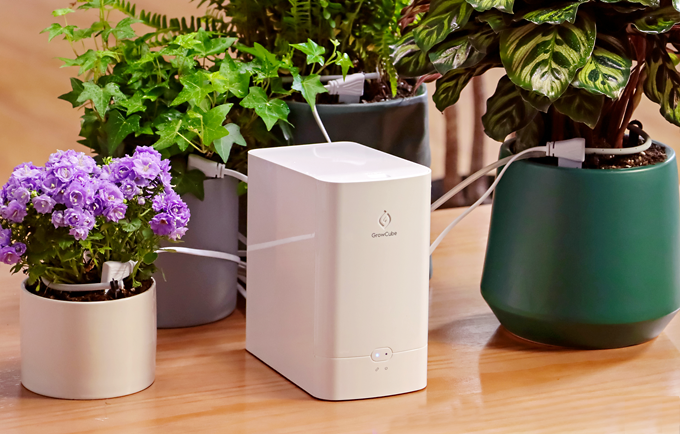 growcube by elecrow automates irrigation for smooth plant growth