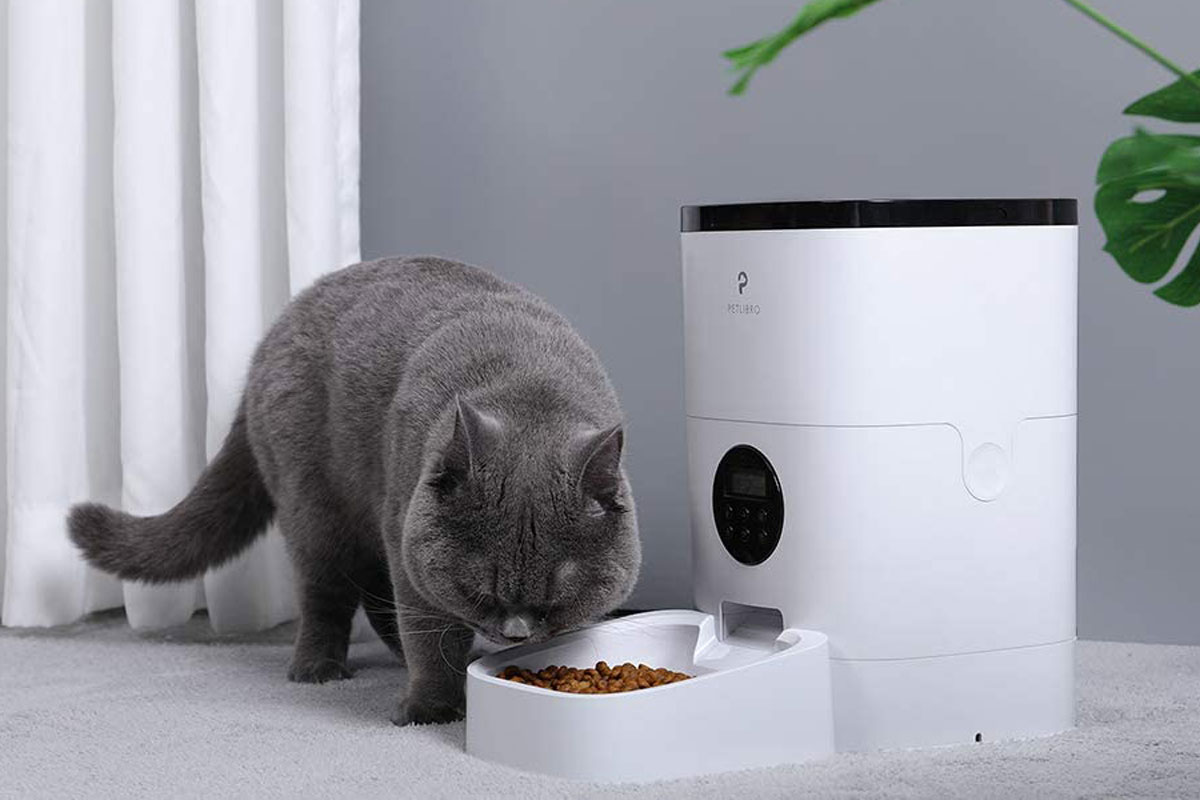 petlibro automatic cat feeder timed tout