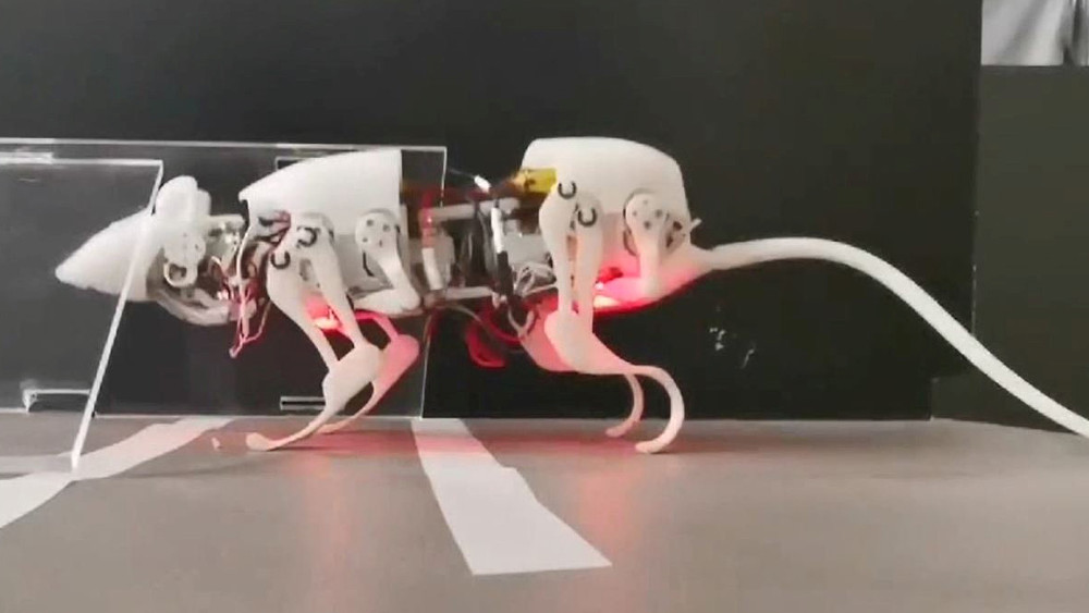 CW ROBOT RAT OFF PLAT