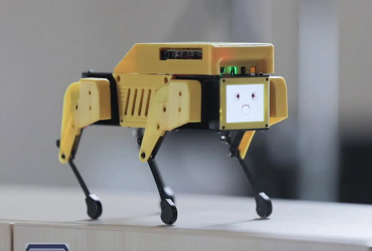 mini pupper raspberry pi 4 robot