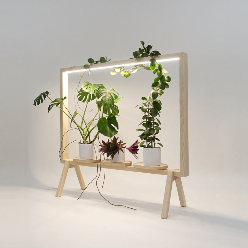 greenframe glimakra of sweden 6 810x810