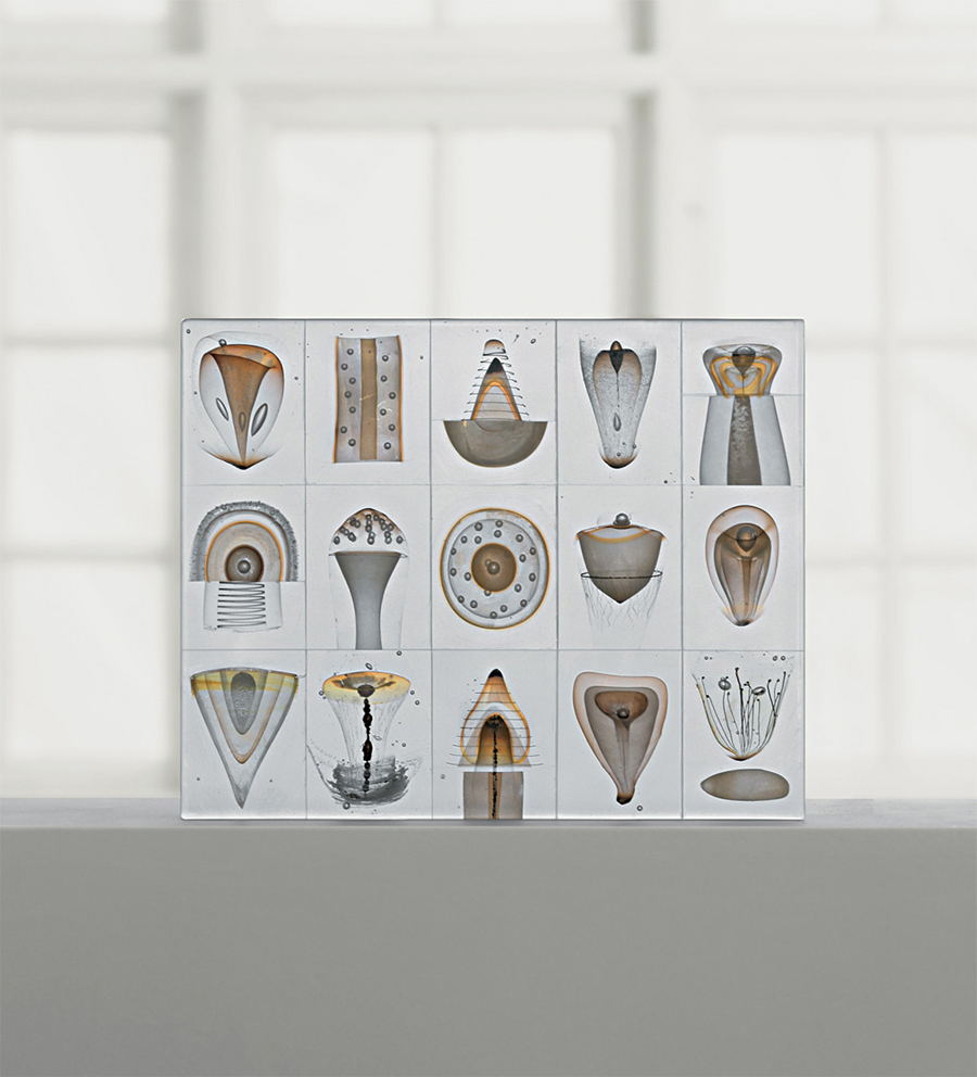 Коллекция морских существ от Steffen Dam