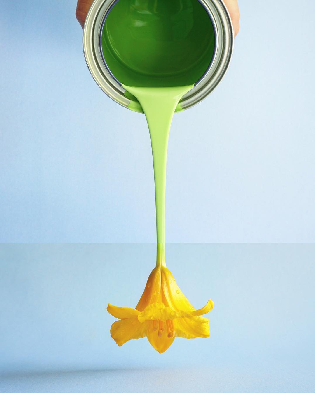 фуд-арт Food art by McMennamy