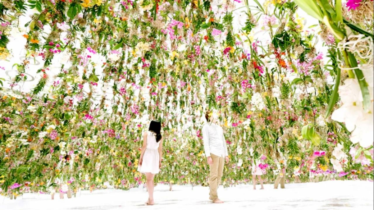 Floating Flower Garden, или интерактивный цветник от TeamLab