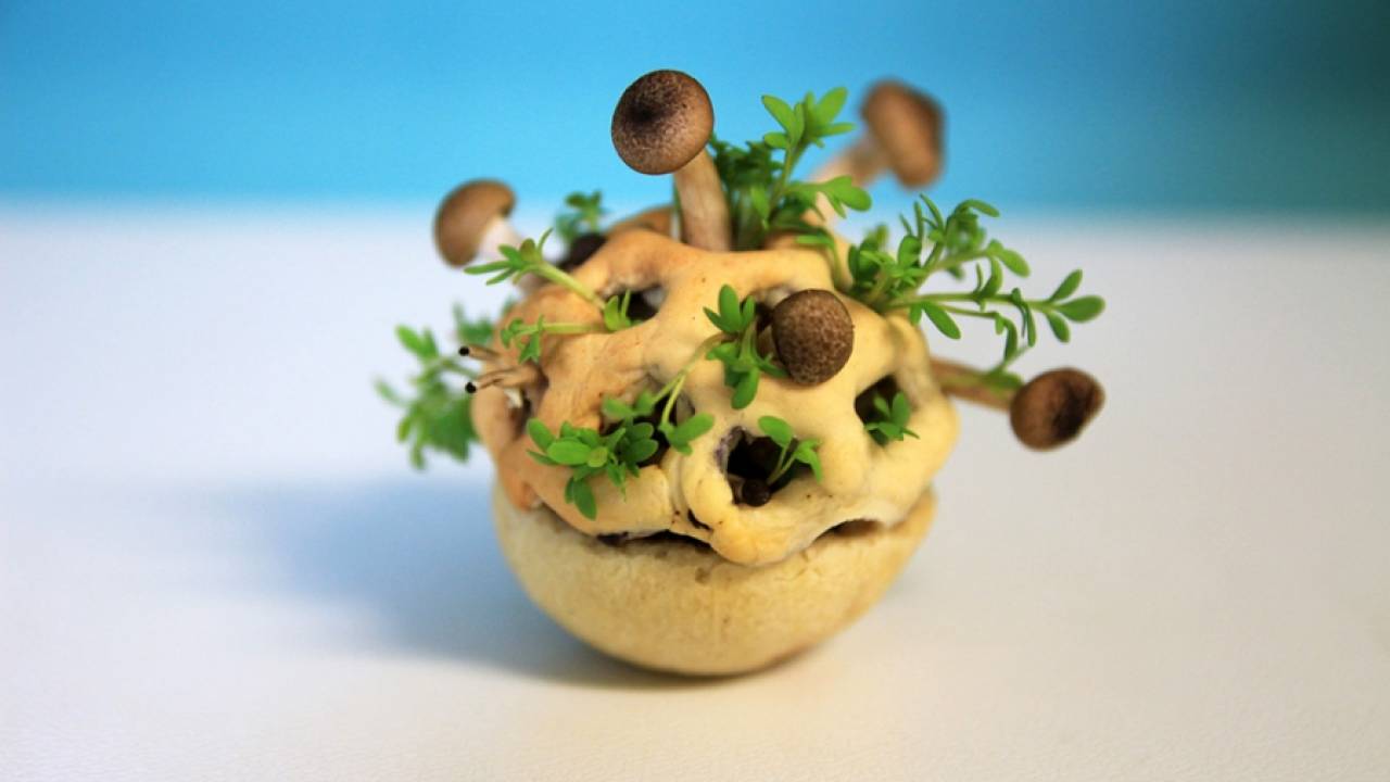 Edible Growth - 3D-закуски от дизайнера Хлое Руцервельд (Chloe Rutzerveld)