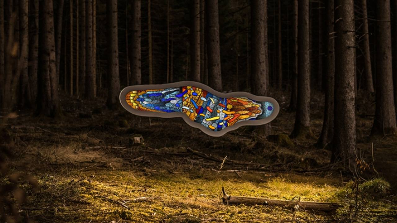 "Amoeba" - скульптура посреди леса