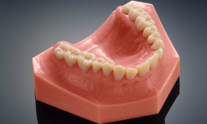 Новый 3D-принтер от Stratasys создает реалистичные модели для стоматологии